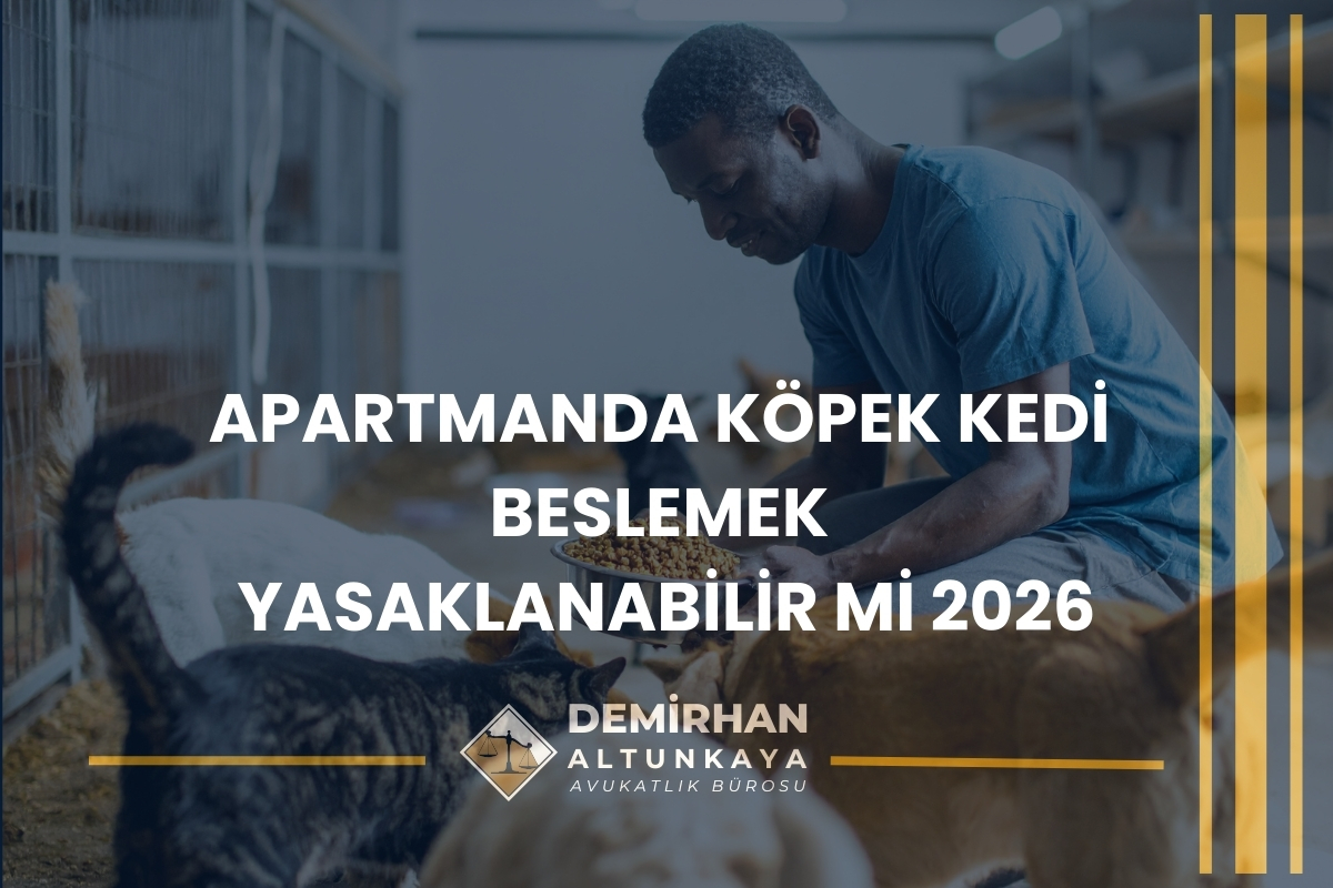Apartmanda Köpek Kedi Beslemek Yasaklanabilir mi 2026